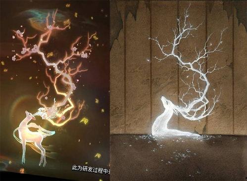 超级神鹿爆料视频,视频爆料背后的惊人真相